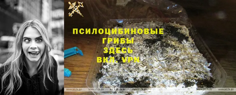 закладки  Минеральные Воды  Галлюциногенные грибы Magic Shrooms 